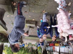 20241009_105303.jpg